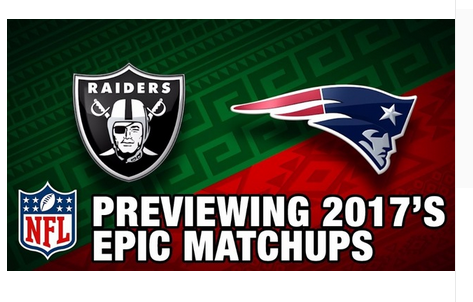 New England Patriots Flag-3x5 NFL Banner-100% polyester-super bowl - flagsshop