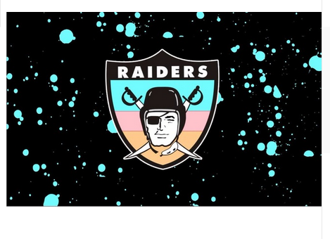 Oakland Raiders Flag-3x5 NFL Banner-100% polyester-black - flagsshop