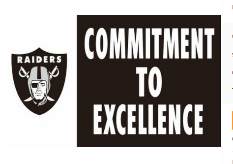 Oakland Raiders Flag-3x5 NFL Banner-100% polyester-black - flagsshop