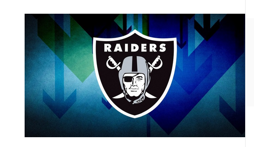 Oakland Raiders Flag-3x5 NFL Banner-100% polyester-black - flagsshop