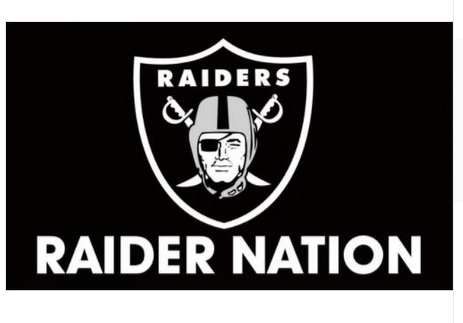 Oakland Raiders Flag-3x5 NFL Banner-100% polyester-black - flagsshop