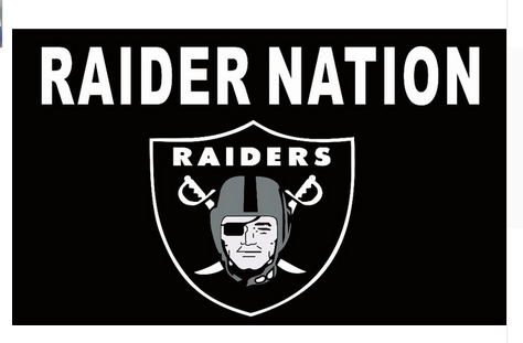 Las Vegas Raiders Pride Flag 3x5ft Banner Polyester American Football  raiders115