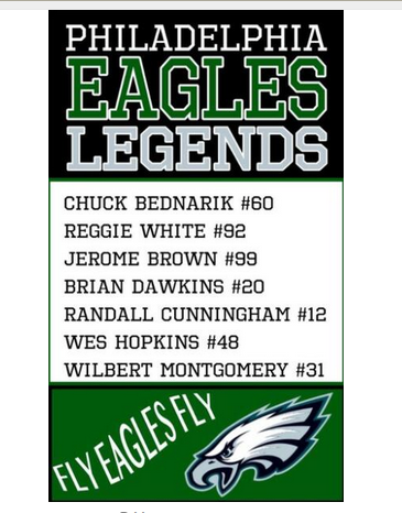 Philadelphia Eagles Flag-3x5 new NFL Philadelphia Eagles Flag Banner-100% polyester-Strips & Stars-gloves - flagsshop