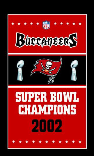 Polyester Tampa Bay Rays flags custom flag banner 90*150cm - flagsshop