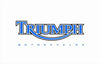 Triumph Flag-3x5 Motors Banner-100% polyester - flagsshop