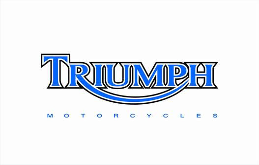 Triumph Flag-3x5 Motors Banner-100% polyester - flagsshop