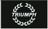 Triumph Flag-3x5 Motors Banner-100% polyester - flagsshop