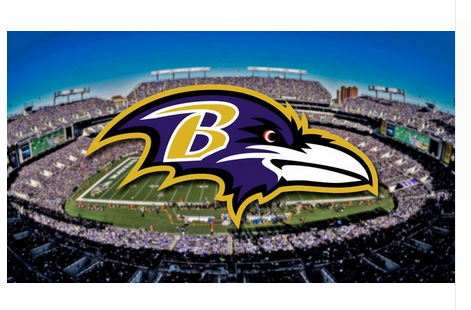 Baltimore Ravens Flag-3x5 NFL Banner-100% polyester-gloves-champions-super bowl - flagsshop