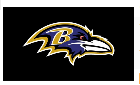 Baltimore Ravens Flag-3x5 NFL Banner-100% polyester-gloves-champions-super bowl - flagsshop