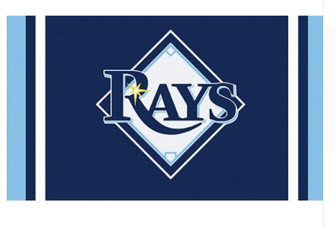 Tampa Bay Devil Rays Flag-3x5 Banner-100% polyester - flagsshop