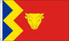 Birmingham City Football Club Flag-3x5 Banner-100% polyester - flagsshop