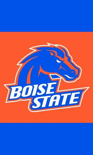 Boise State Black Flag 3x5 FT 150X90CM Banner 100D Polyester flag brass grommets , free shipping - flagsshop