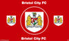 Bristol City FC Football Club Flag-3x5 Banner-100% polyester - flagsshop
