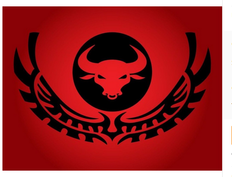 Chicago Bulls Flag-3x5 Chicago Bull flags Banner-100% polyester - flagsshop