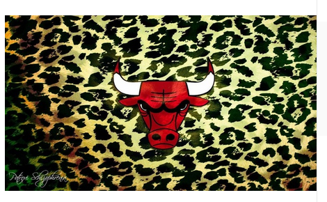Chicago Bulls Flag-3x5 Chicago Bull flags Banner-100% polyester - flagsshop