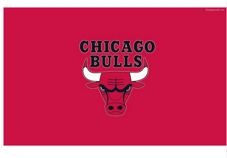 Chicago Bulls Flag-3x5 Chicago Bull flags Banner-100% polyester - flagsshop