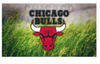 Chicago Bulls Flag-3x5 Chicago Bull flags Banner-100% polyester - flagsshop