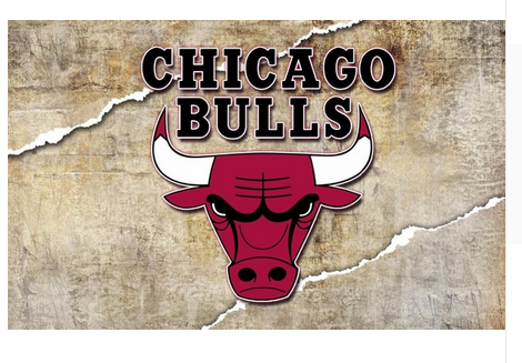 Chicago Bulls Flag-3x5 Chicago Bull flags Banner-100% polyester - flagsshop