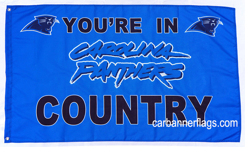 3 ft x 5 ft NFL Team Flag - Carolina Panthers