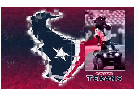 Houston Texans Flag-3x5 new NFL super bowl Banner-100% polyester-man cave-stripes-gloves-garden flags - flagsshop