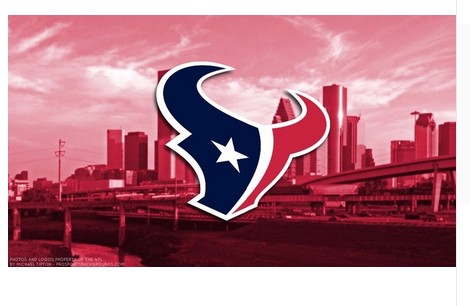 Houston Texans Flag-3x5 new NFL super bowl Banner-100% polyester-man cave-stripes-gloves-garden flags - flagsshop