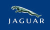 Jaguar Flag-3x5 FT-100% polyester Banner-Green-Black - flagsshop