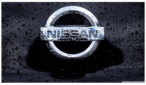 Nissan Flag-3x5 Motorsports Banner-100% polyester-White - flagsshop