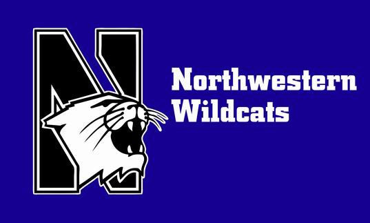 Northwestern Wildcats with American national flag background flag,Northwestern Wildcats 90*150CM polyster flagking brand banner - flagsshop