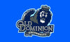Old Dominion Monarchs Flag 3ft x 5ft Polyester NCAA Banner,100% polyester 90*150cm - flagsshop