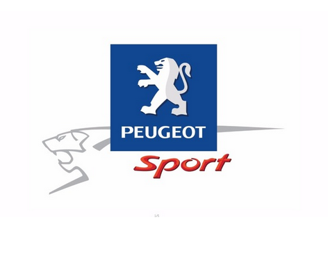 Peugeot flag-3x5 FT-100% polyester Banner-Black / White - flagsshop
