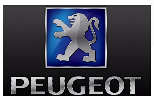 Peugeot flag-3x5 FT-100% polyester Banner-Black / White - flagsshop