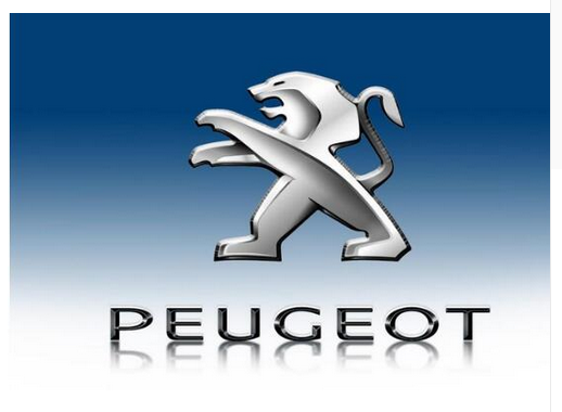 Peugeot flag-3x5 FT-100% polyester Banner-Black / White - flagsshop