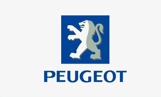 Peugeot flag-3x5 FT-100% polyester Banner-Black / White - flagsshop