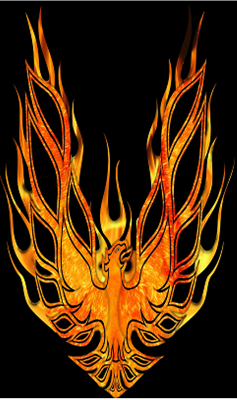 Pontiac Trans AM Firebird Flag-3x5 Banner-100% polyester-black-red - flagsshop