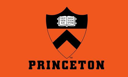 Princeton University Tigers NCAA Flag hot sell goods 3X5FT 150X90CM Banner brass metal holes - flagsshop