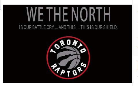 Toronto Raptors Flag-3x5FT Banner-100% polyester - flagsshop