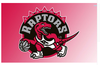 Toronto Raptors Flag-3x5FT Banner-100% polyester - flagsshop