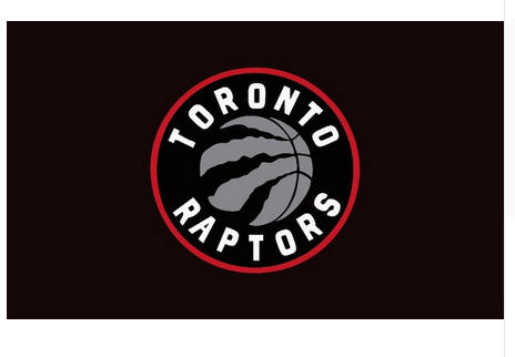 Toronto Raptors Flag-3x5FT Banner-100% polyester - flagsshop