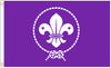International Scout Flag-3x5 FT World Scout Banner-100% polyester-2 Metal Grommets