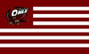 Temple University Owls NCAA Flag hot sell goods 3X5FT 150X90CM Banner brass metal holes - flagsshop