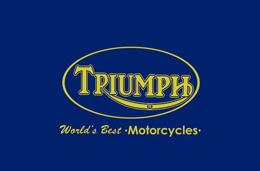 Triumph Flag-3x5 Motors Banner-100% polyester - flagsshop
