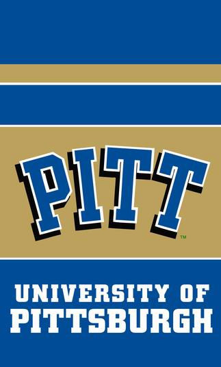 Pittsburgh Flag 3x5 FT 150X90CM Banner 100D Polyester flag - flagsshop
