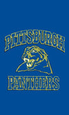 Pittsburgh Panthers PITT University Large College Flag 3x5 - flagsshop