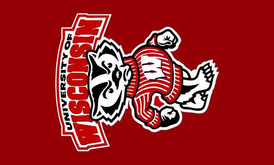 NCAA University of Wisconsin Banner Wisconsin Badgers Flag 3X5FT 100% ...