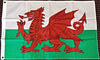 Cardiff City FC Wales Flag Welsh Dragon Banner-3x5 Australian New South Wales FT Banner-100% polyester-2 Metal Grommets - flagsshop