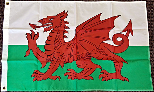 Cardiff City FC Wales Flag Welsh Dragon Banner-3x5 Australian New South Wales FT Banner-100% polyester-2 Metal Grommets - flagsshop