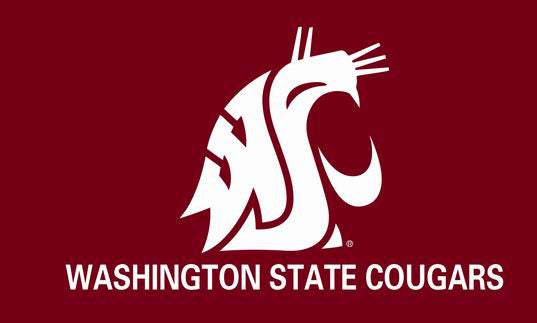 free shipping College banner University of Washington Educational institution flag,100% polyester flag,3*5 foot, NFL,NHL - flagsshop